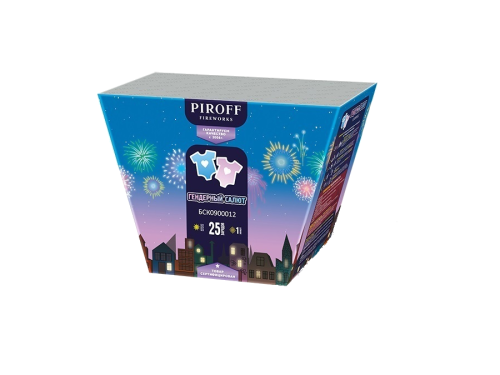 Гендерный салют дневной (мальчик)